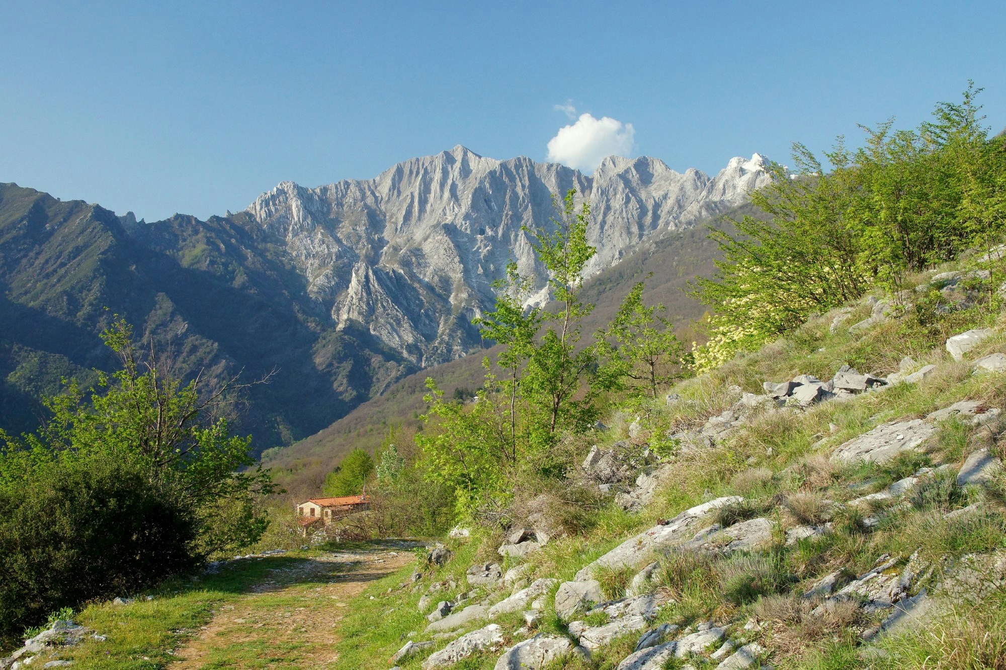 Primavera e Altissimo