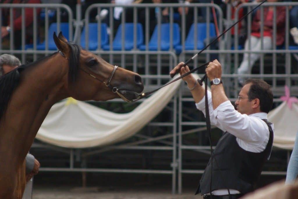 L’Arte del Cavallo e il Versilia Western Show alla Versiliana