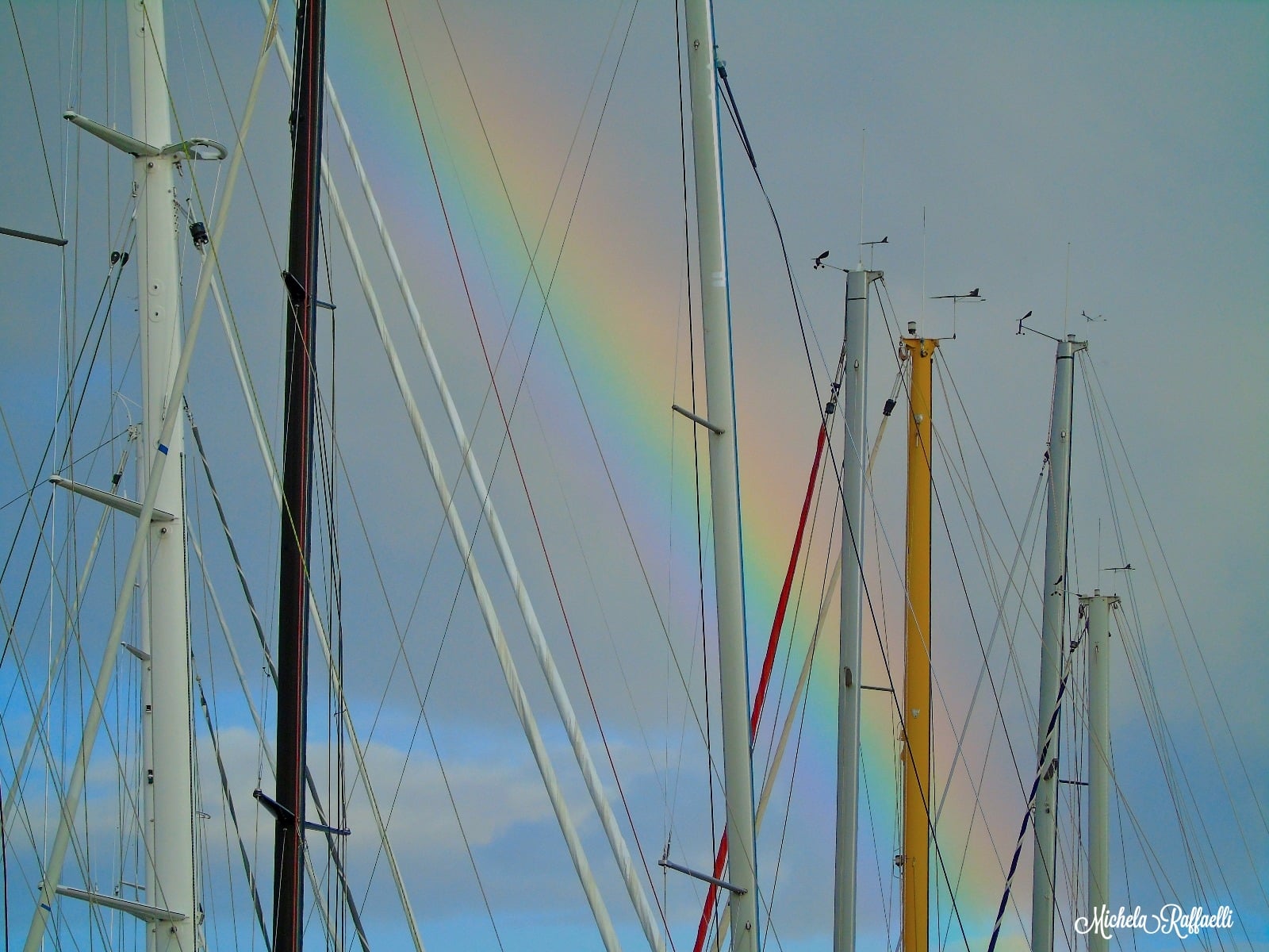 Arcobaleno tra gli alberi