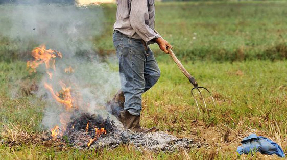 Prevenzione incendi: divieto assoluto di accendere fuochi sul territorio comunale di Seravezza
