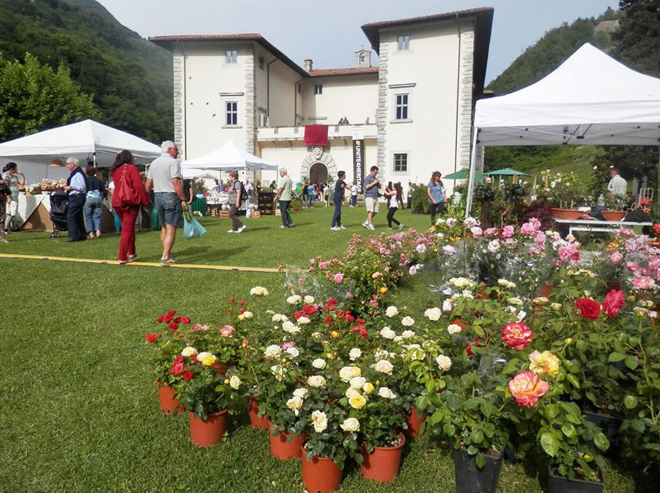 Prorogata la scadenza per il concorso Balcone Fiorito