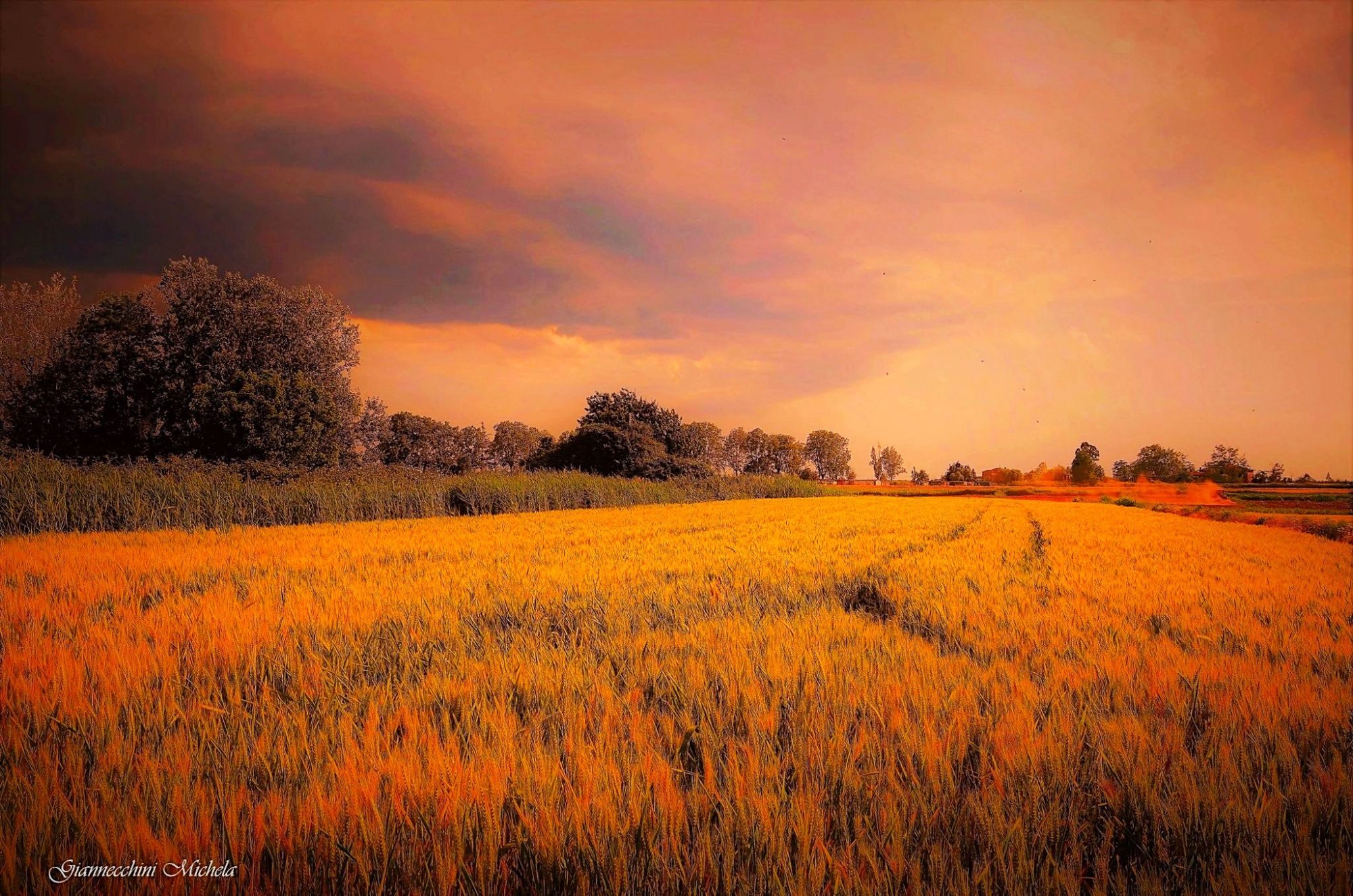 Tramonto sul campo a Quiesa