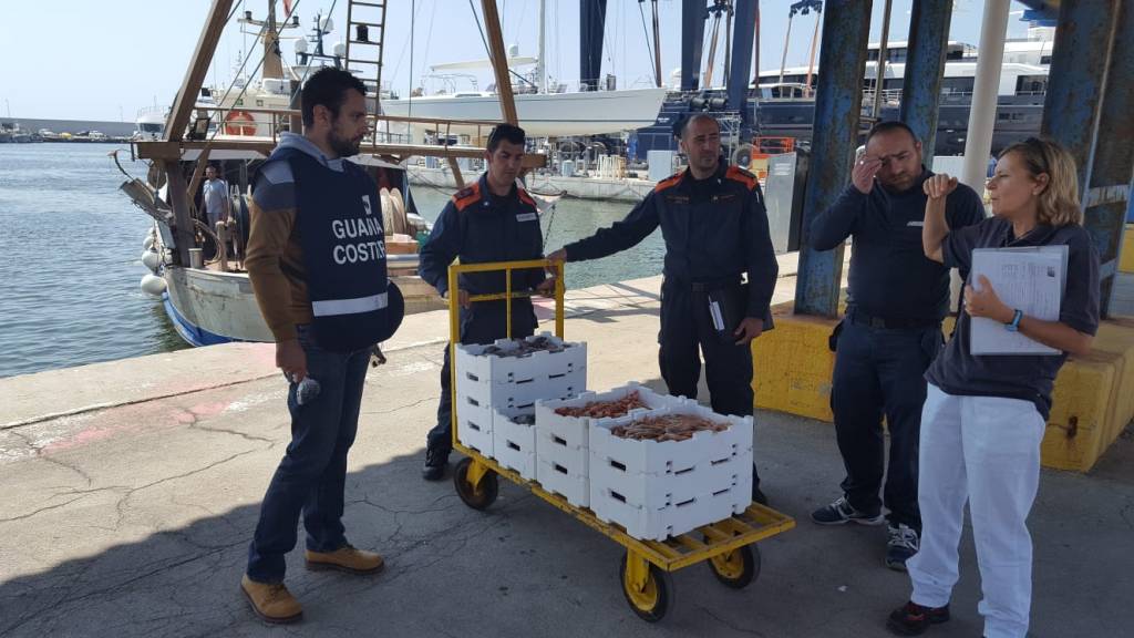 La verifica dei prodotti con ASL