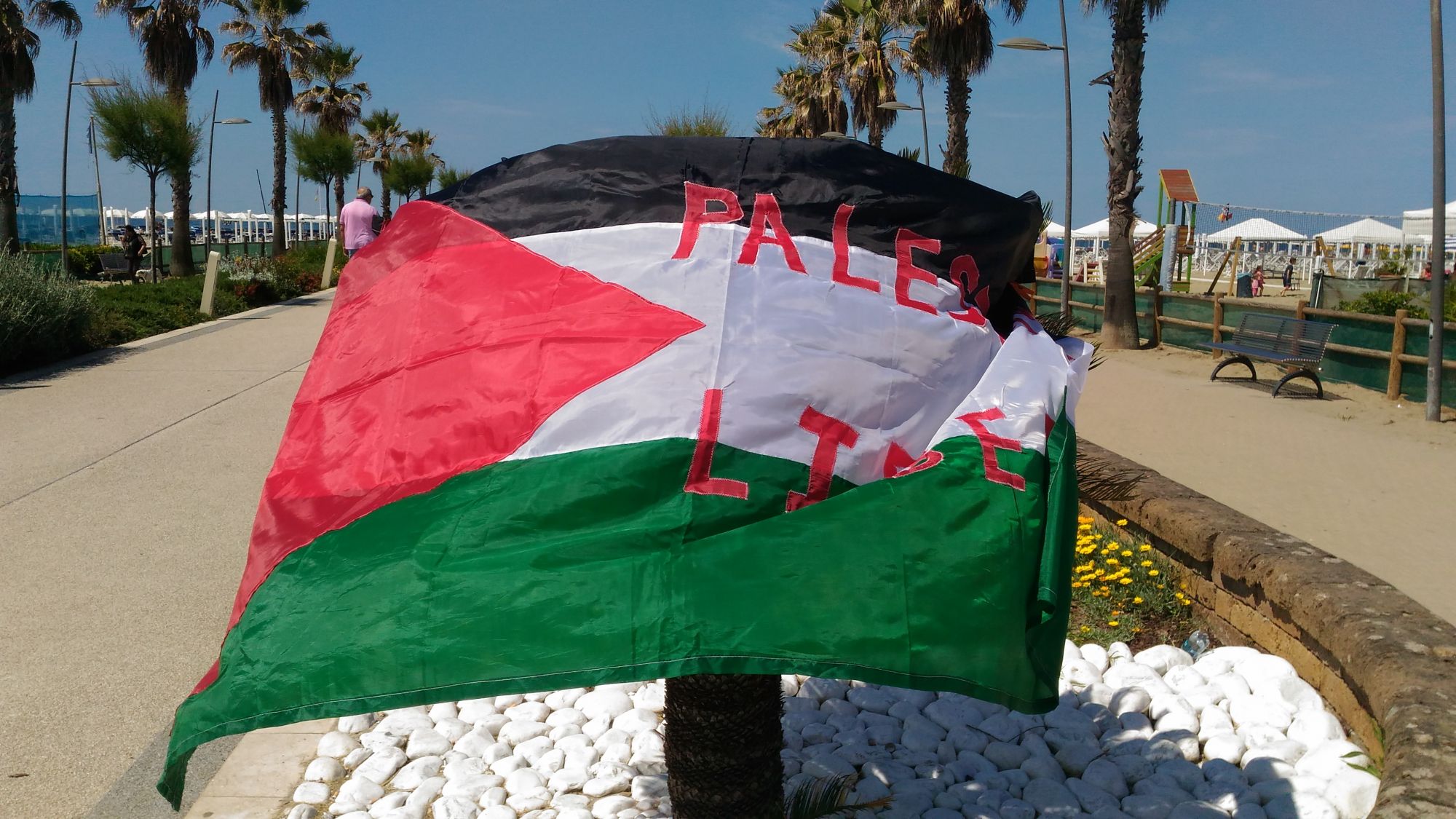 Da Lido di Camaiore un fiore per Gaza