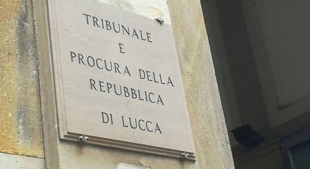 Branco di cinghiali in A11, automobilista viareggino ottiene il risarcimento dei danni