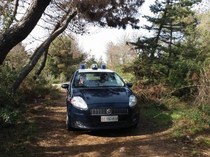 Spari in Pineta di Levante, i Carabinieri setacciano il Parco