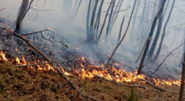 Fiamme in lucchesia, il fronte del fuoco di circa 300 metri  sta risalendo il crinale della montagna