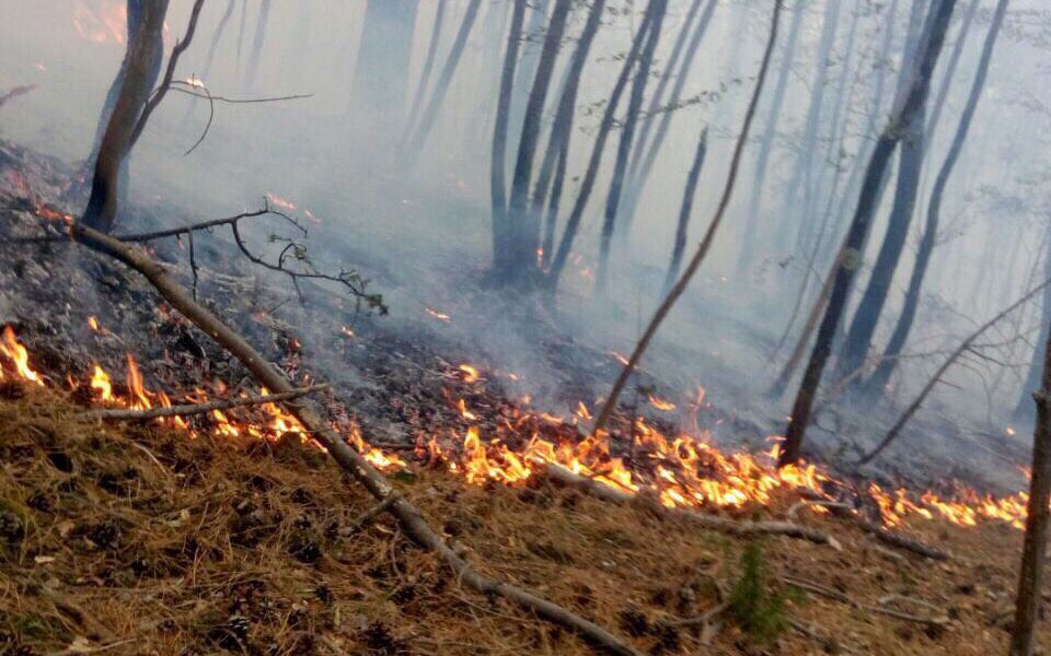 Fiamme in lucchesia, il fronte del fuoco di circa 300 metri  sta risalendo il crinale della montagna