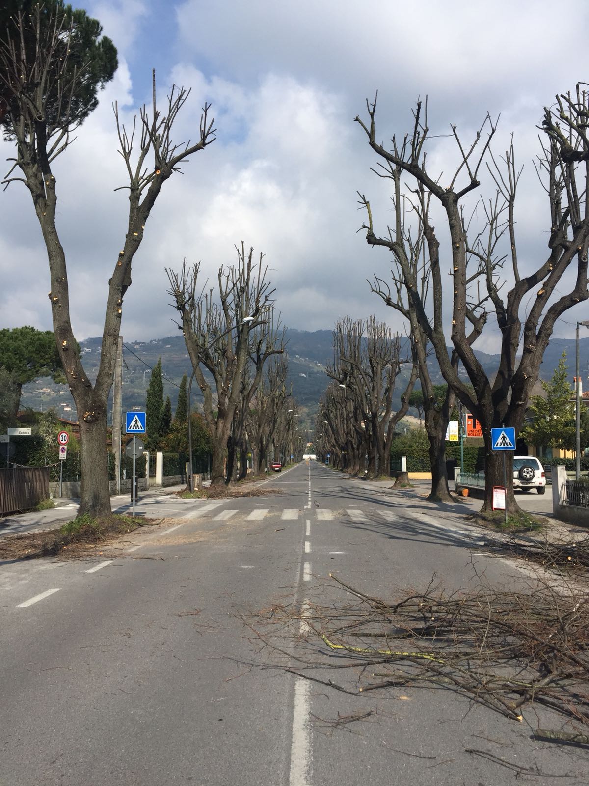 Viale Apua, parte la bonifica