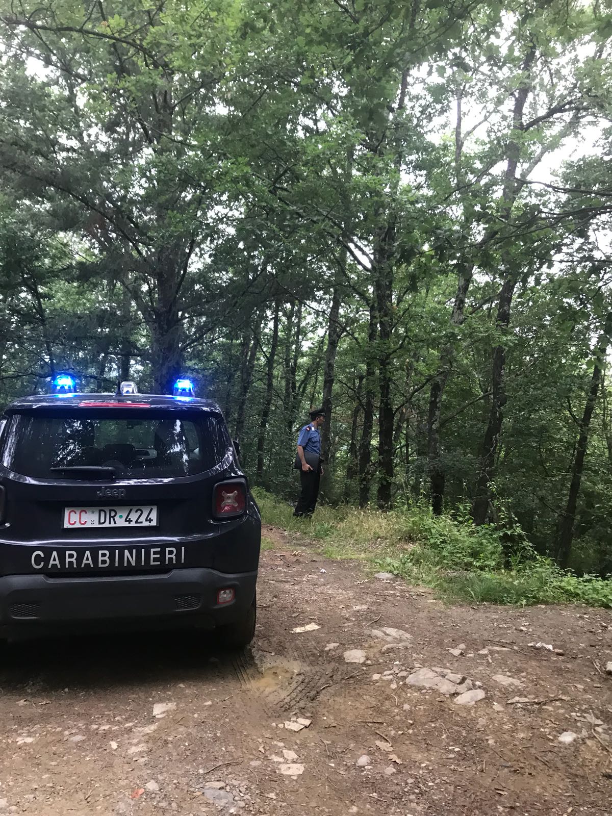 Cercatore di funghi disperso, ricerche in corso