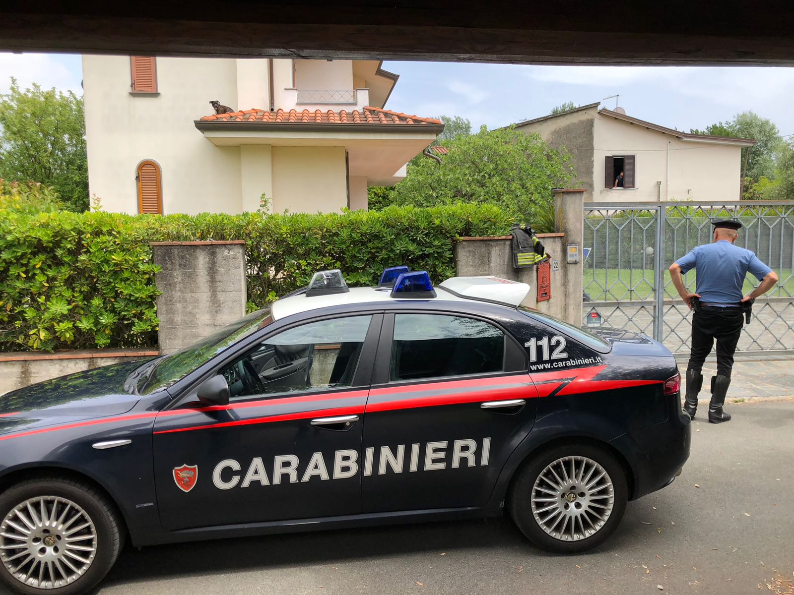 Cane su un tetto salvato da Carabinieri e Vigili del Fuoco
