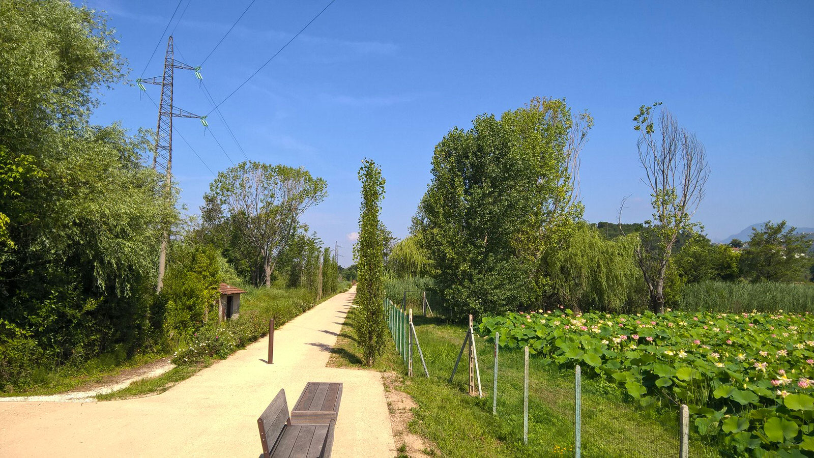 La pista ciclabile Fiori di Loto alla biennale dell’architettura