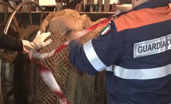 Pesca illecita, sequestro e 4 mila euro di multa a Piombino