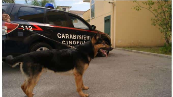 Droga, i controlli dell’Arma nelle scuole e nei parchi della Garfagnana