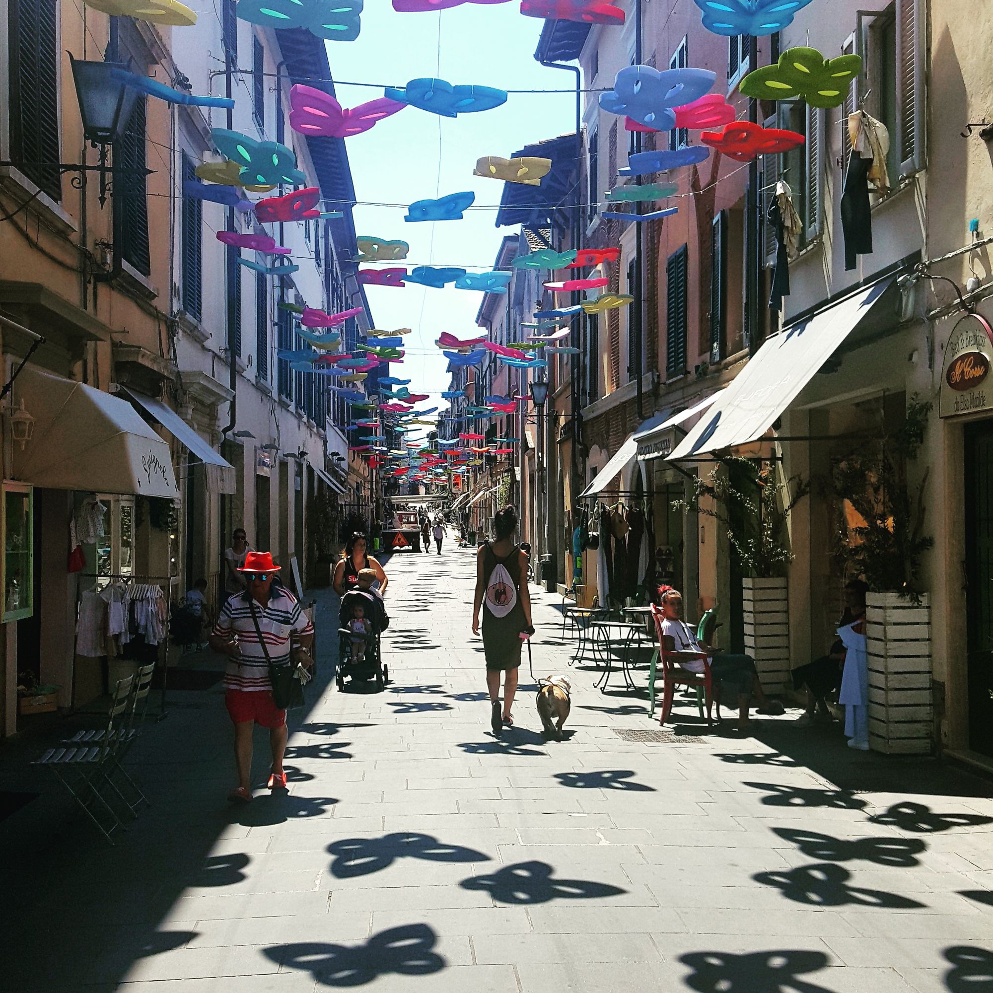 Sarà l’estate delle farfalle a Pietrasanta