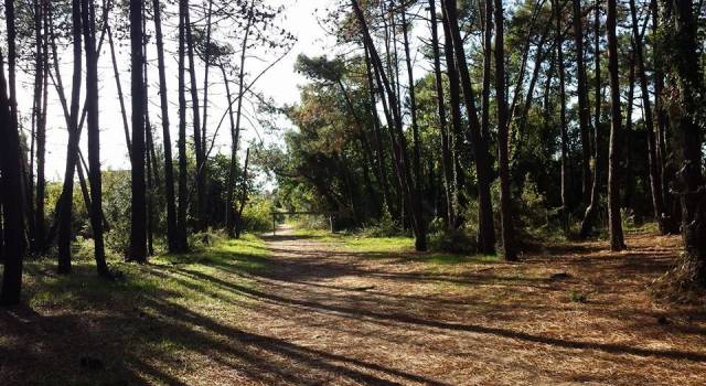 Coronavirus, l&#8217;Ente Parco attiva lo smart working per i propri dipendenti