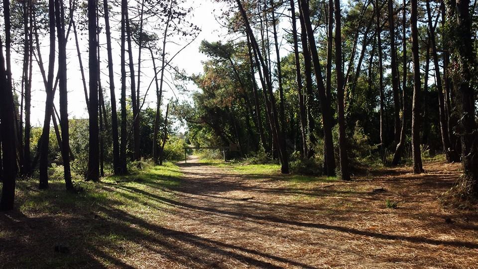 Il futuro dell’area protetta, nuovo incontro sul piano integrato del Parco