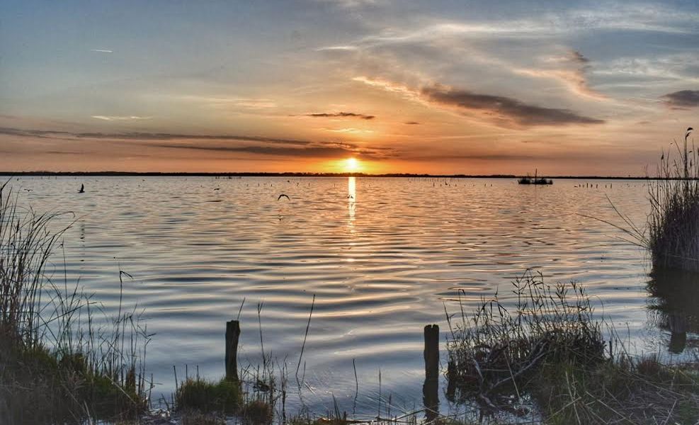 Aumenta il controllo sugli argini del Lago di Massaciuccoli