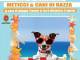Expo canina per 4 zampe di razza e meticci: appuntamento domani a Lido di Camaiore