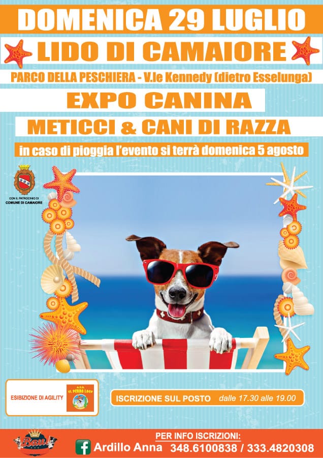 Expo canina per 4 zampe di razza e meticci: appuntamento domani a Lido di Camaiore