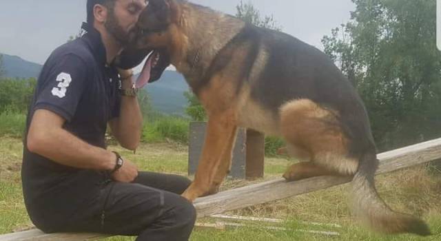 Ciao Kaos, morto avvelenato il cane eroe del terremoto di Amatrice