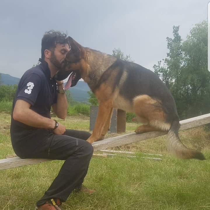 Ciao Kaos, morto avvelenato il cane eroe del terremoto di Amatrice