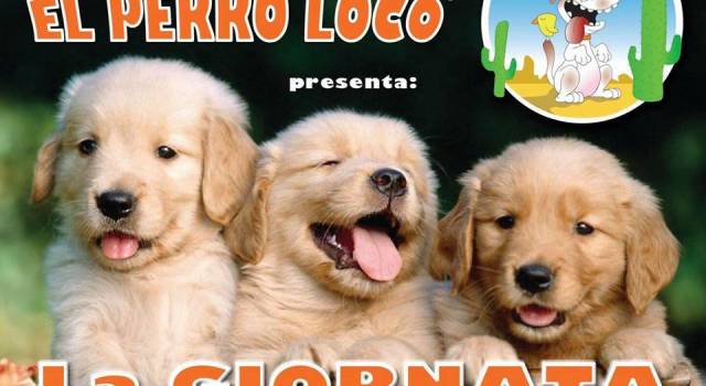 Torna la giornata del cucciolo, appuntamento a El Perro Loco: iscrizioni dal 1 agosto!