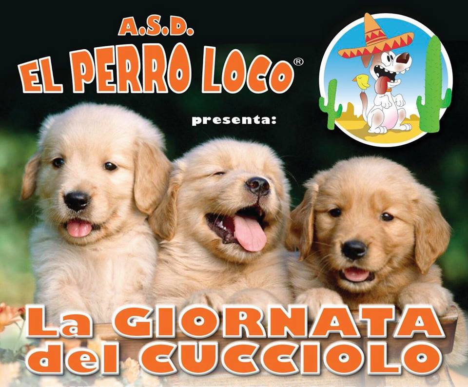 Torna la giornata del cucciolo, appuntamento a El Perro Loco: iscrizioni dal 1 agosto!