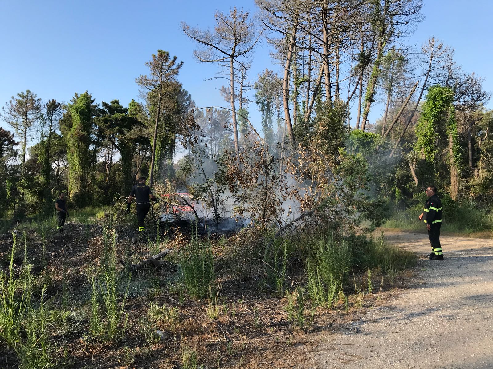 Fiamme alla Lecciona: guarda il video