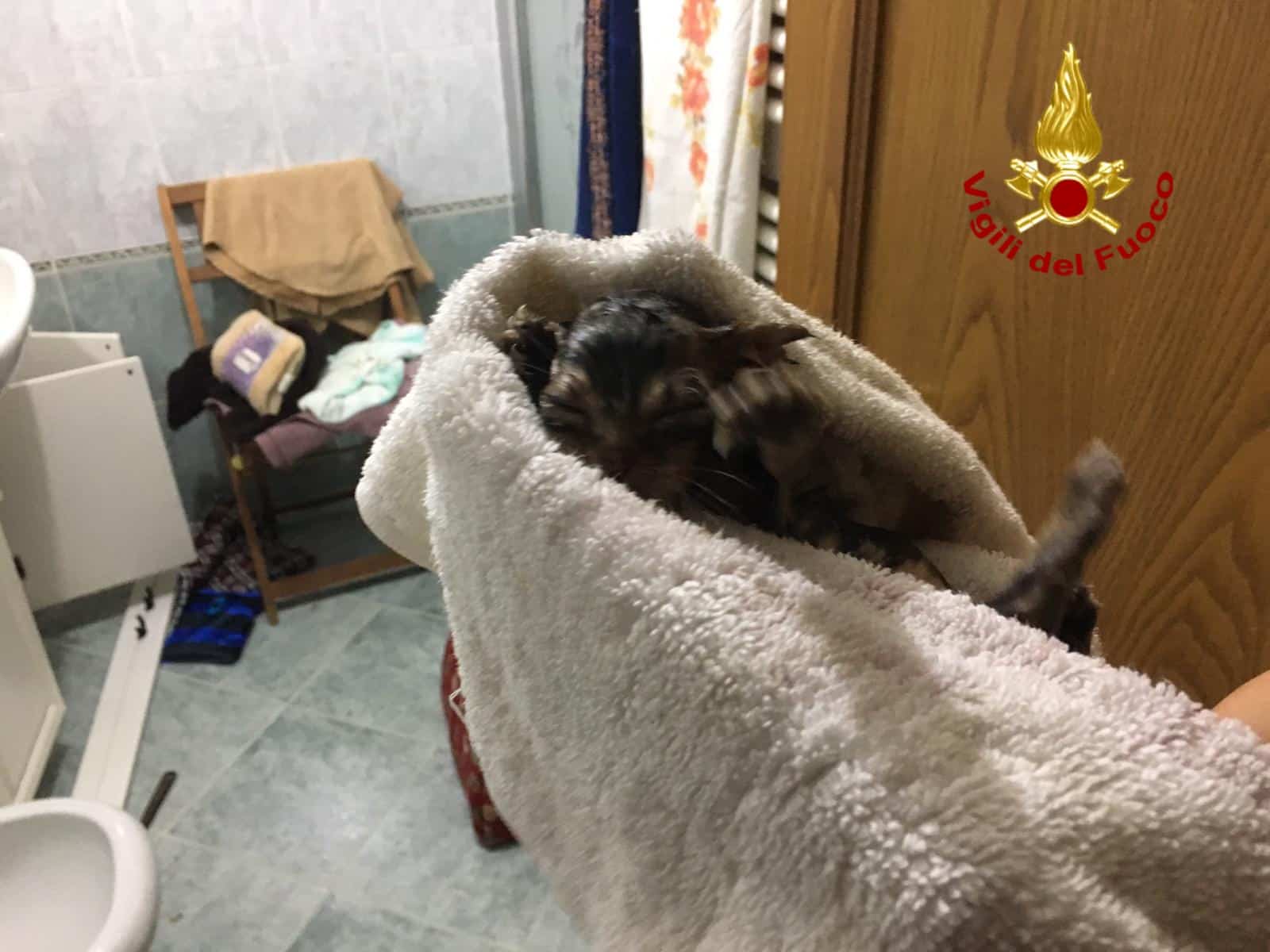 IMG 20180724 WA0011