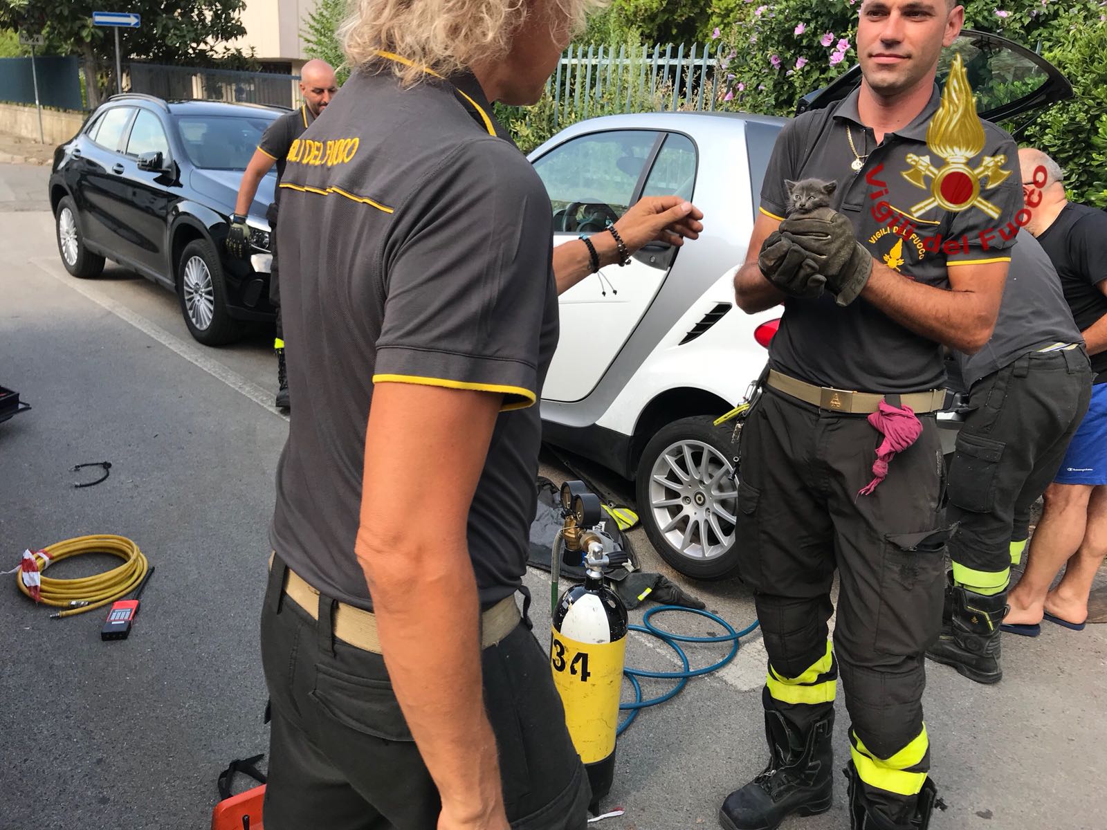 Gatto intrappolato sotto a un’auto, i pompieri smontano dei pezzi e lo liberano