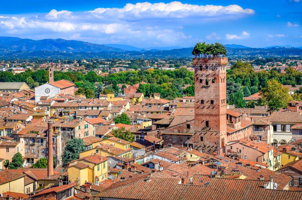 Lucca, fine settimana di controlli: un arresto ed una denuncia