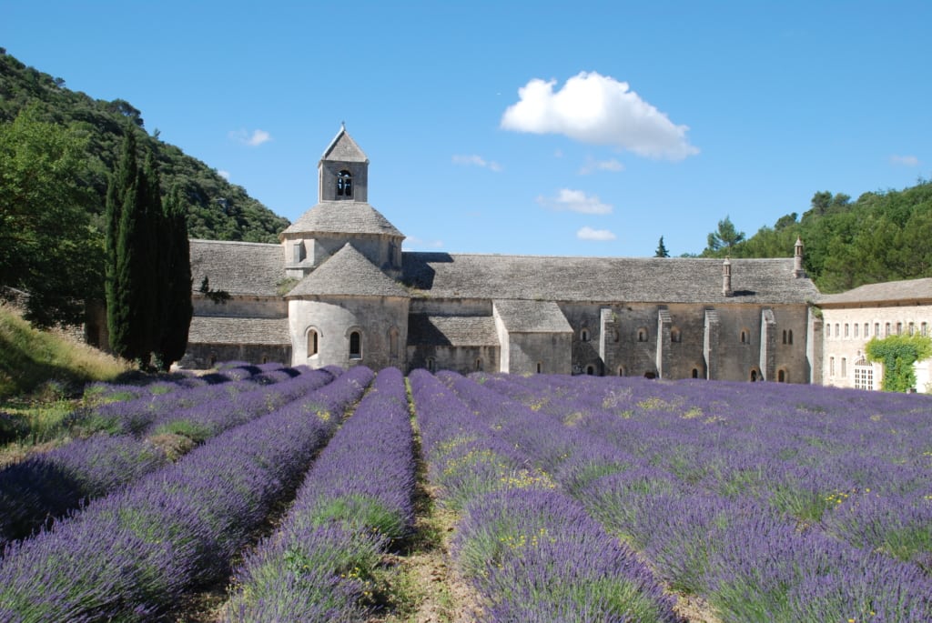 DoveVado - Abbazia di Sénanque Provenza