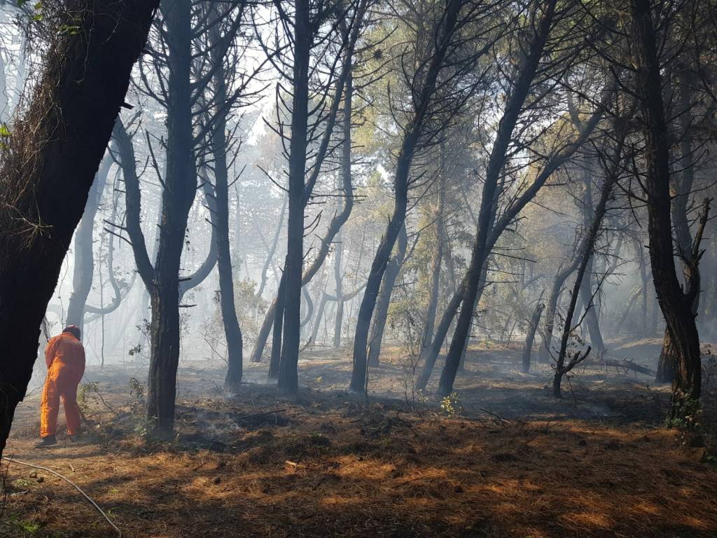 Fiamme alla Lecciona