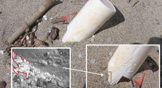 Le microplastiche nelle nostre spiagge, stime e rischi di questa subdola forma di inquinamento