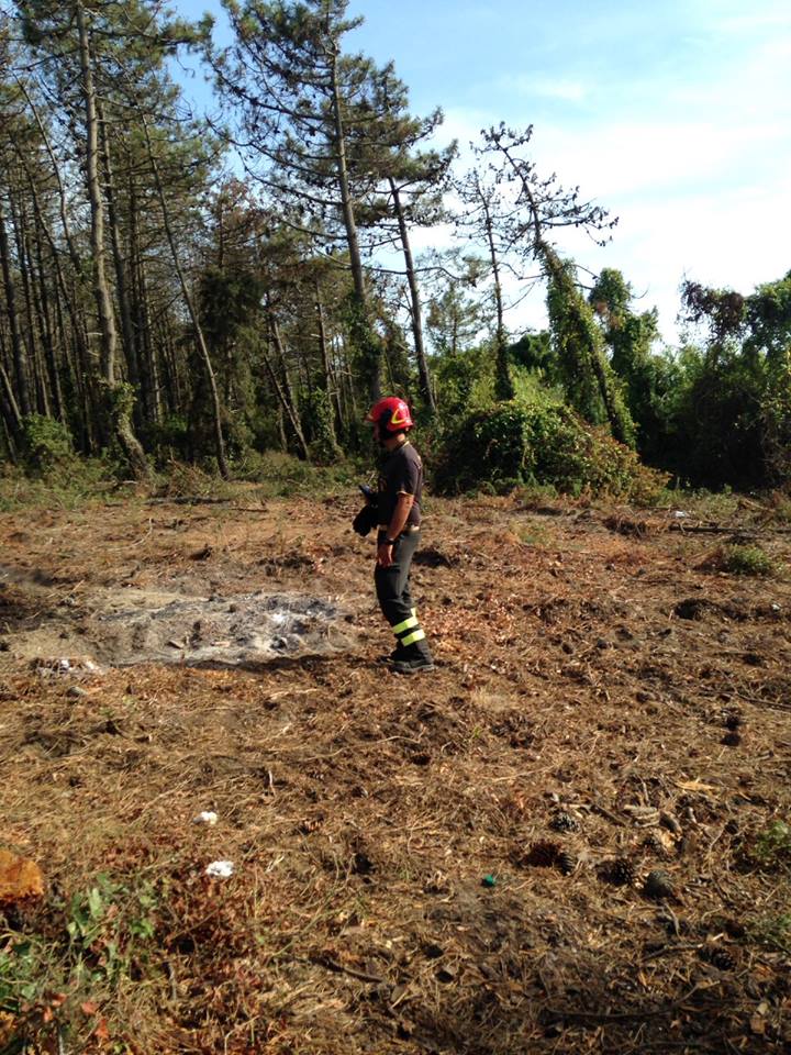 Incendi boschivi, divieto assoluto di abbruciamento di residui vegetali fino al 31 marzo
