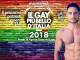 Chi sarà il gay più bello d’Italia? La finale al Mamamia il 16 agosto