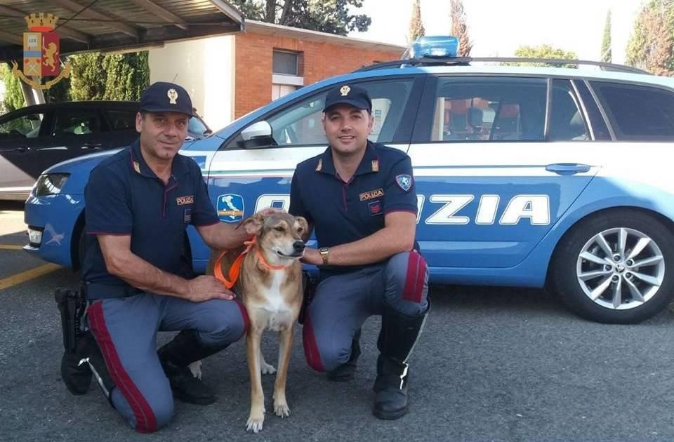 Ritrovata Sibilla dalla Polstrada sull’A/1, la canina era sparita dopo l’incidente mortale