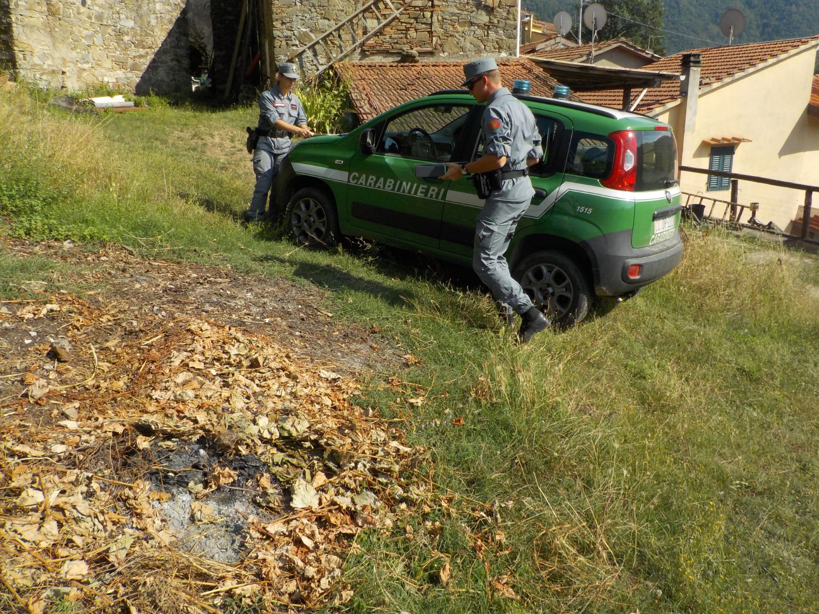 Incendi boschivi: controlli, sanzioni e denunce