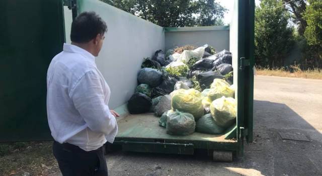 Quasi 19 tonnellate di verde raccolte a Strettoia
