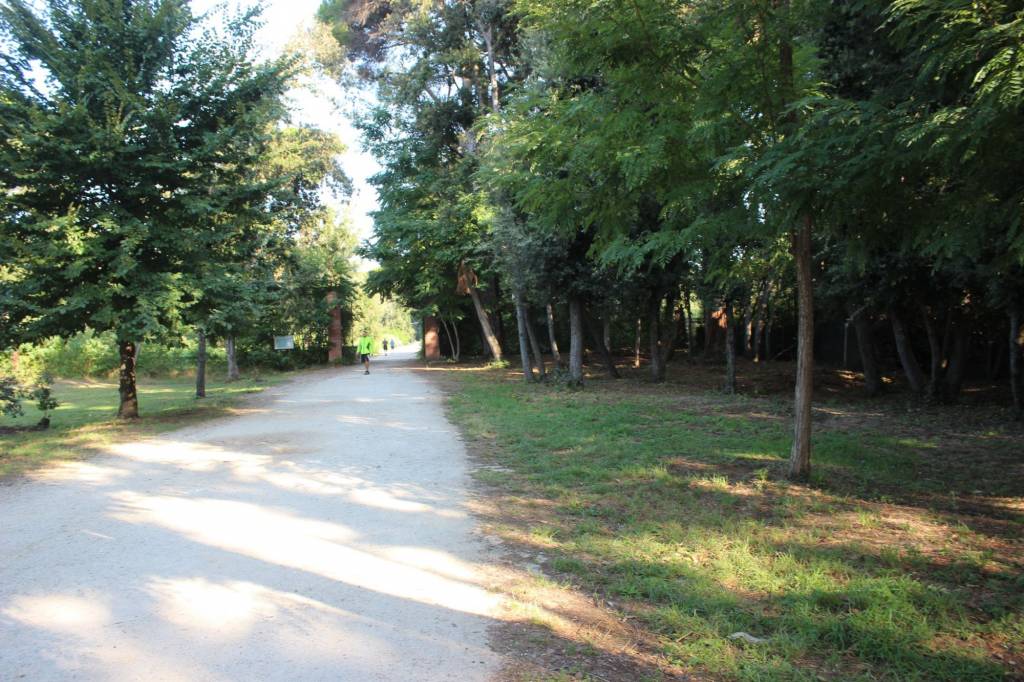 Foto ingresso parco pulito 28 Agosto 2018