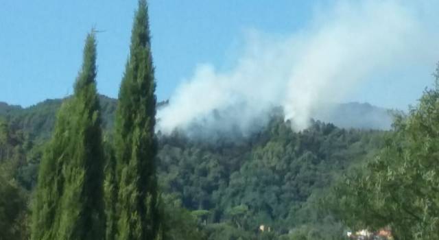 A fuoco le colline camaioresi: l&#8217;incendio è doloso