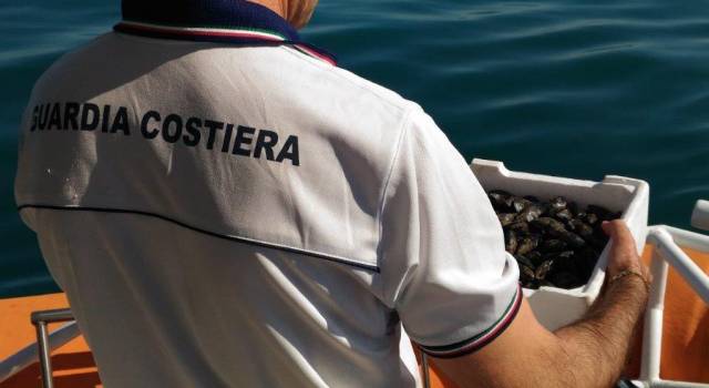 Operazione “Euribia”, ristorazione estiva sotto i riflettori della Guardia Costiera in tutta la Toscana