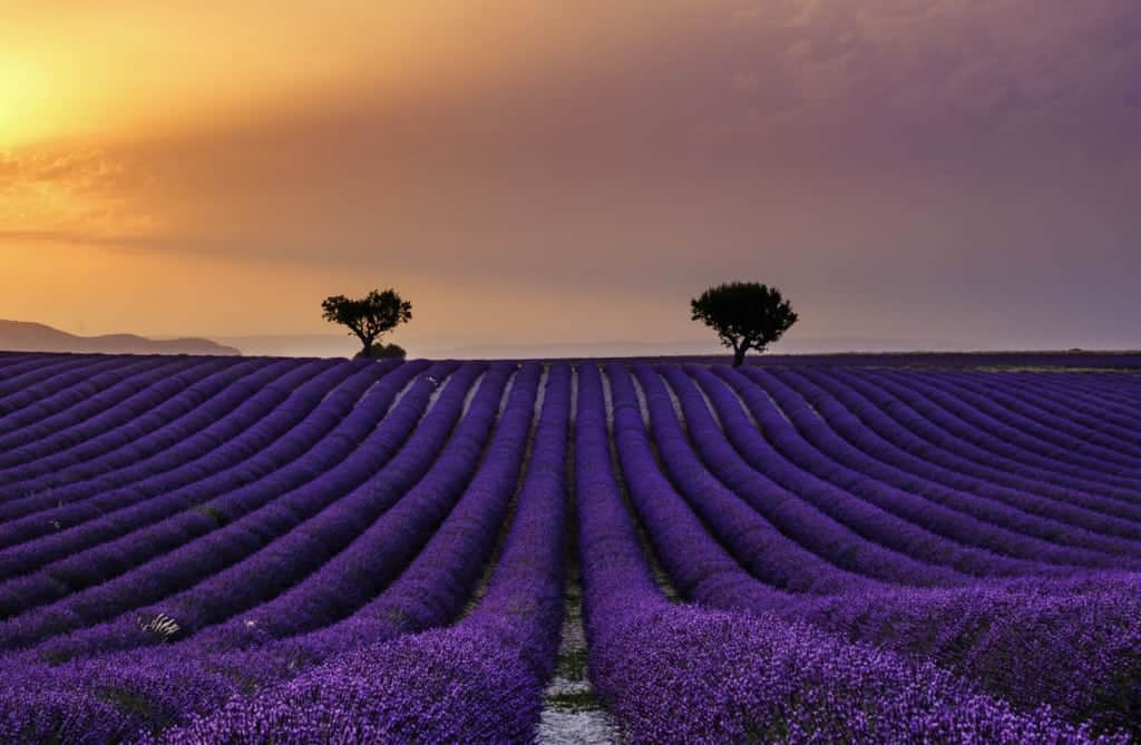 Le idee di viaggio di DoveVado per la prima settimana d’agosto