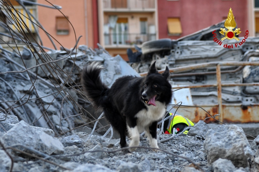 Ponte Morandi, terza notte di scavi per trovare i dispersi: il crollo sarebbe dovuto alla rottura di un cavo