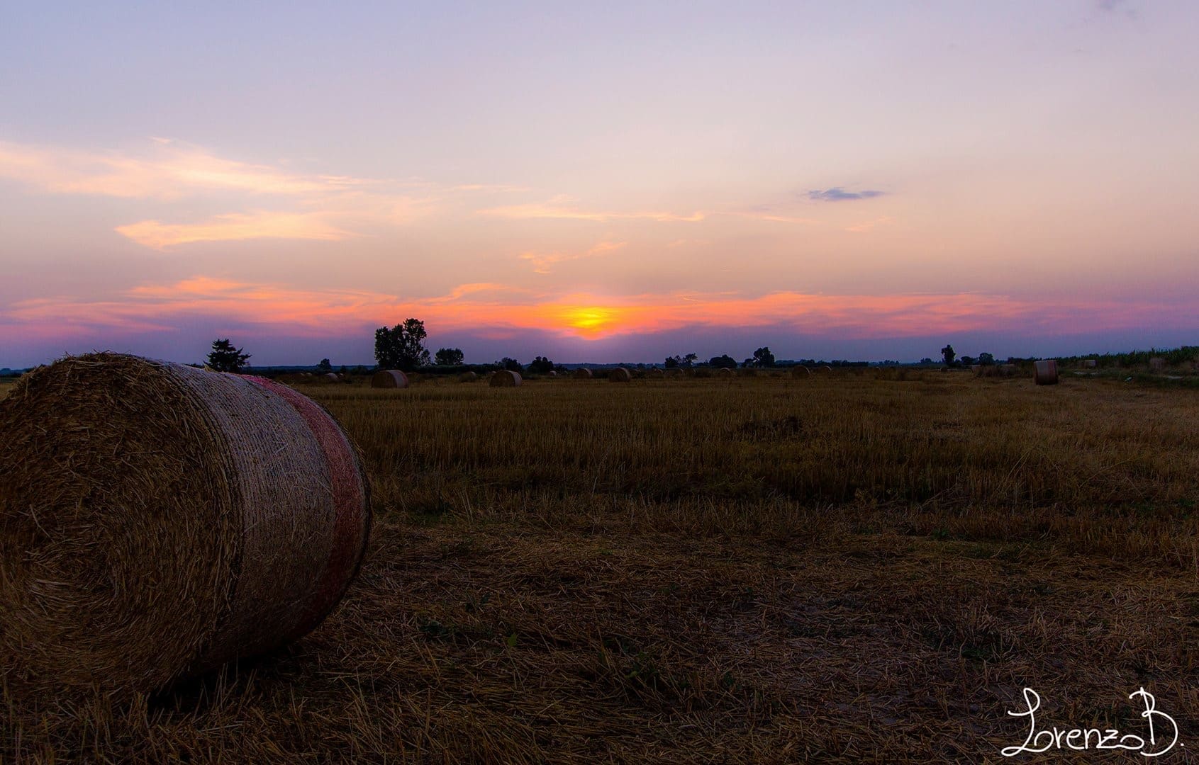 Tramonto a Migliarino