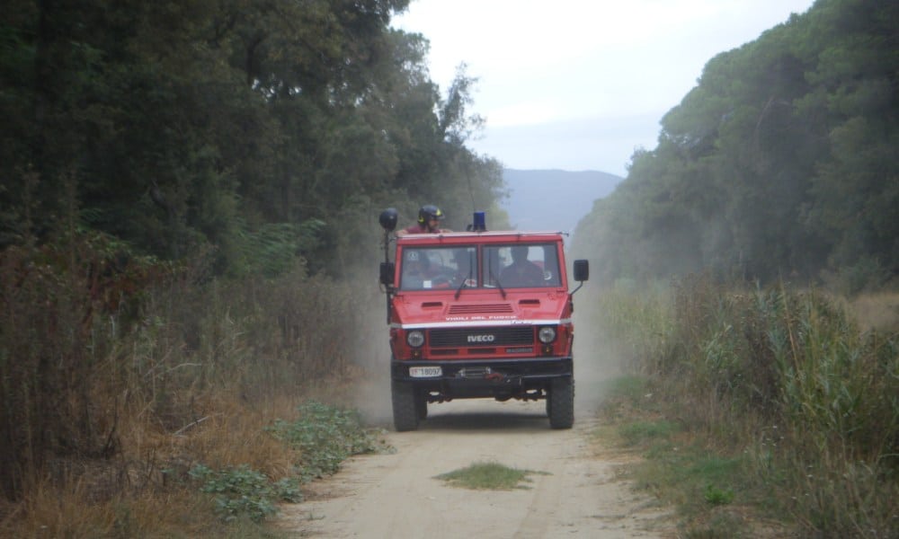 Fiamme alla Bufalina, brucia la pineta