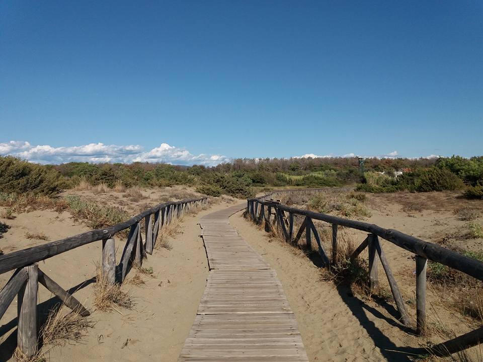 Siringhe abbandonate in spiaggia, un nuovo caso