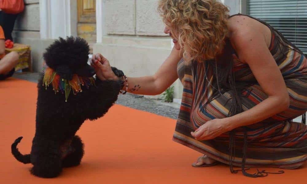 Auguri Teo!: la festa del barboncino della Cremeria Emma con la Dog Dance de El Perro Loco