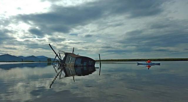 Lago di Massaciuccoli, caccia: approvata risoluzione di Baccelli (Pd) per salvaguardare i capanni